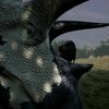 raw_toast81