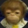 neckhurt674169