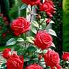 chameli.bk67