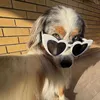 animaldoingthingss
