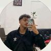 pin_aripin0.8