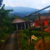 aditya.putra0732