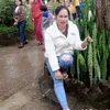 en.lan260