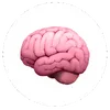 neuronote.app