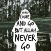 napii_qr