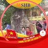 ch.hin.nguyn00