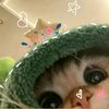 zakiyyah_maqshuraaa