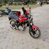 ryhn_57_std