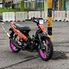 fizrj288