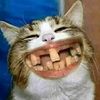 funnytom07
