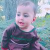 zia.uddan2