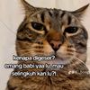 almahyrasyakila5
