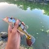 ray_yan_11
