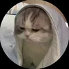 viet.quat209