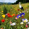 huseyin09859