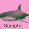 sacabambaspis03