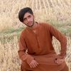 user187079920