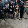 aqua_jahat14