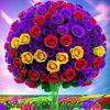 yaseen.dardgareeb