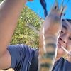 fadly_delik