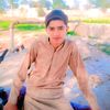 maliktauqeer49