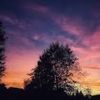 charlotte.mitchel382