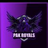 ayanirfan461