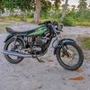 bulu_jubur