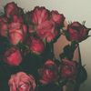 mozan.ali17