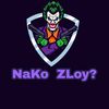 bir_karol700