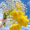 md.masudur.rahman905