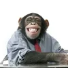 FunnyMonkey