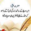 shahzadjutt7154