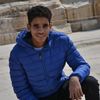 mahmoud.farghel