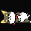 hinamaryam338
