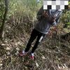 jaysttds4wr