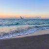 miami.vibes37