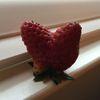 strawberryltr23
