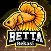betta_bekasi