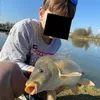 fishyflow7