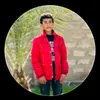 user8207570793318