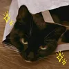 m_moon677