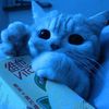 miau3000lolololol