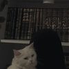 dhagdheeer5