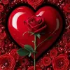 mohammadmohammad2591