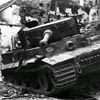 tigerh131enjoyer
