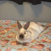 mickey_66611