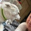 haileyandpolarbear1234