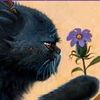 warrior.cat.memes