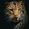 queen.rere85